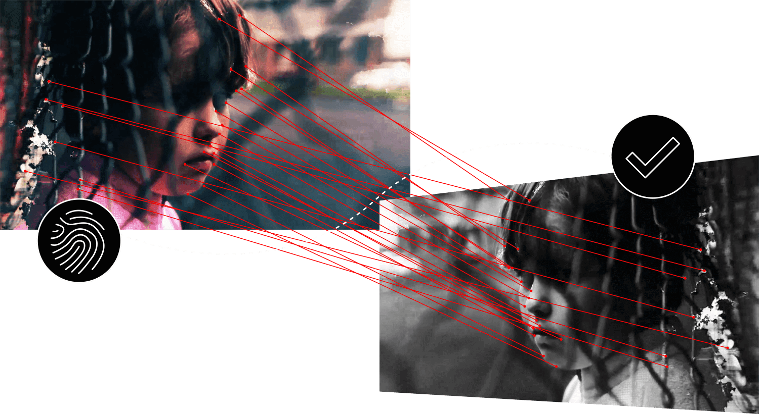 Hotlines and NGOs illustration